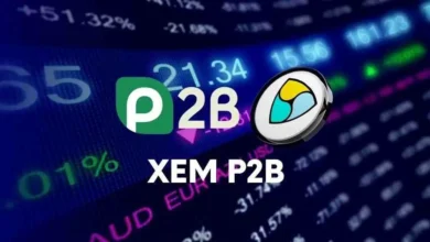 buy xem p2b